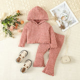 Kids Hooded Sweater & Bell-bottom Pants Suit
