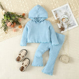 Kids Hooded Sweater & Bell-bottom Pants Suit