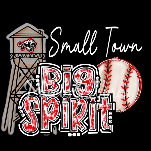 Panthers "Small Town Big Spirit" Tshirt *Baseball*