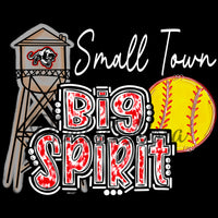 Panthers "Small Town Big Spirit" Tshirt *Softball*