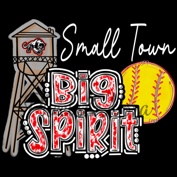 Panthers "Small Town Big Spirit" Tshirt *Softball*